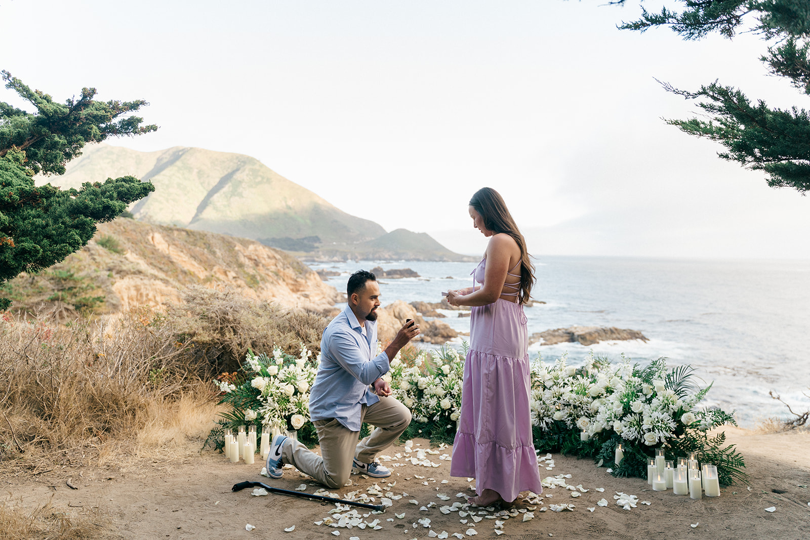 Ring reveal