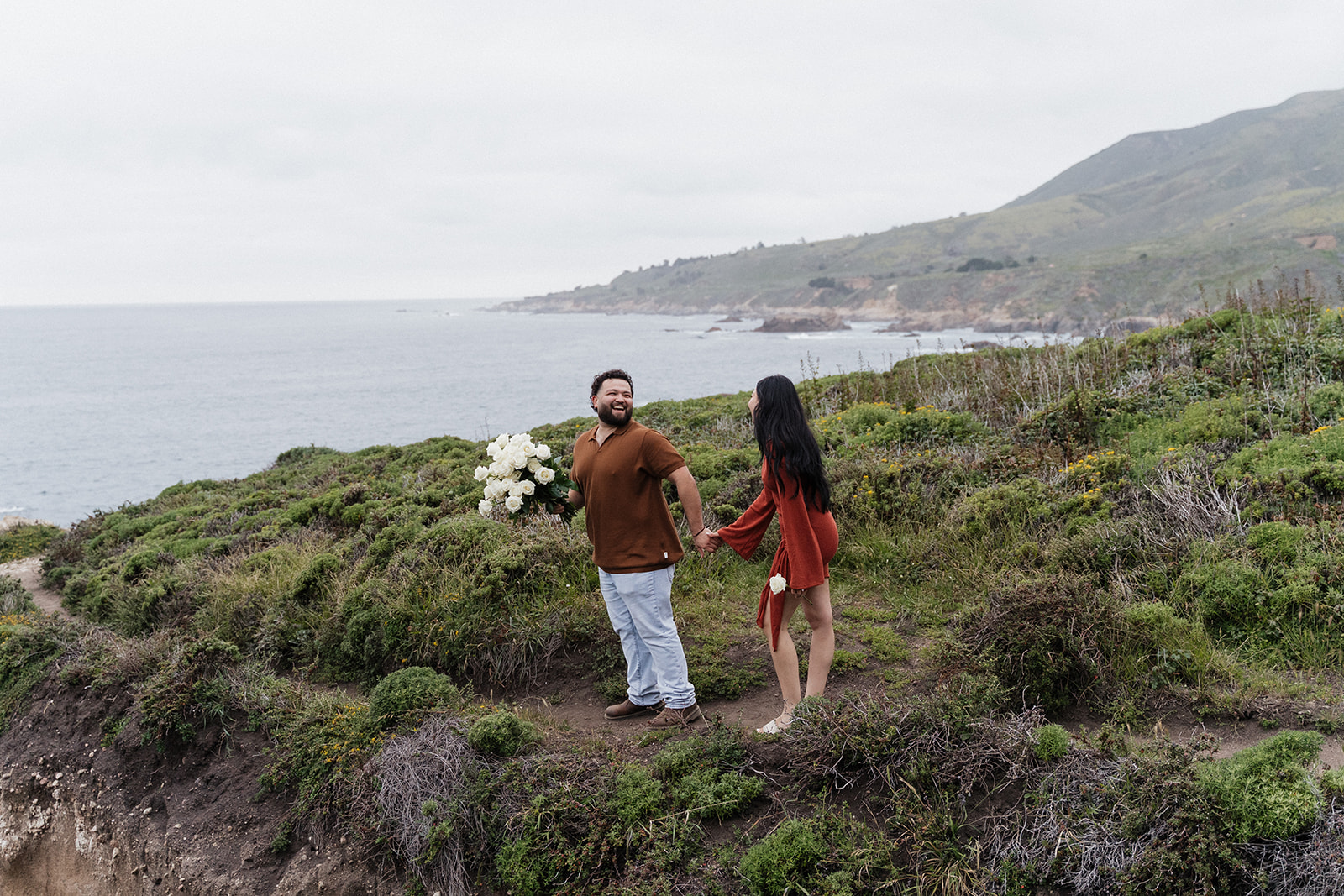 Big Sur proposal